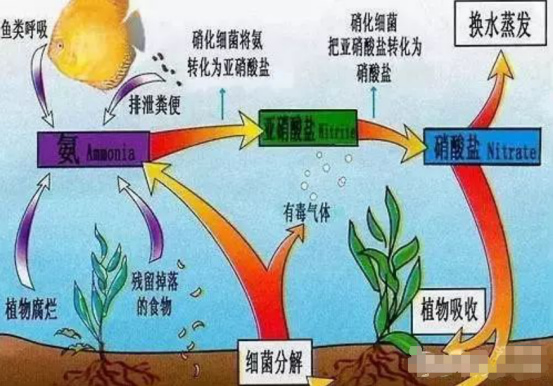 134cea20b94e46b18642521ac63b1f4e.png 134cea20b94e46b18642521ac63b1f4e.png