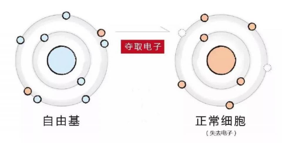 年度奇迹？关晓彤已经白到跟宋祖儿不分上下了