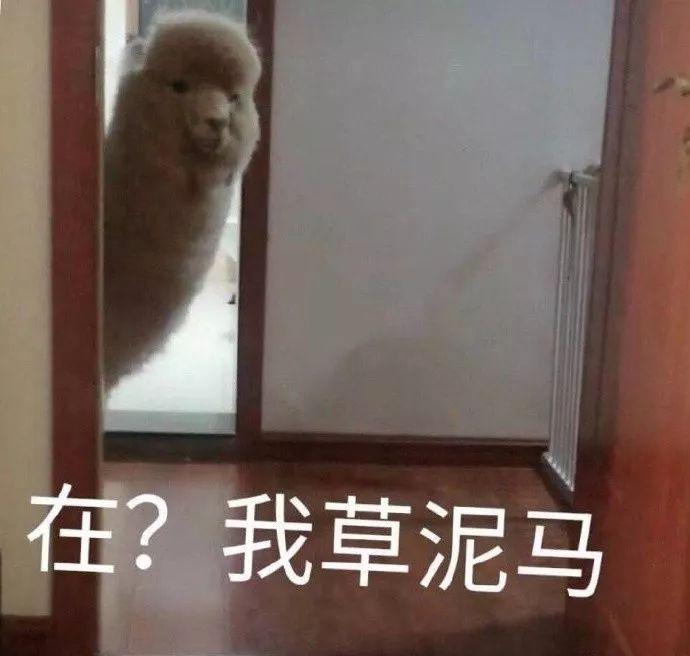 权健全面反攻丁香医生！10万+刷屏：保卫权健=保卫华为！