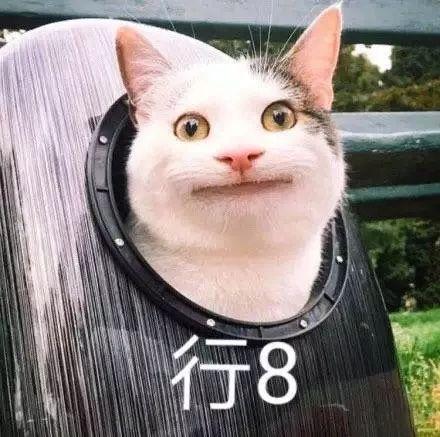 那些信过Refa、蒸脸仪邪的人,来看看你们交了多少智商税!