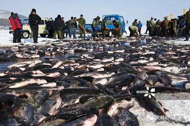 重磅!两小时高铁游带你玩遍哈尔滨至牡丹江周边景区!