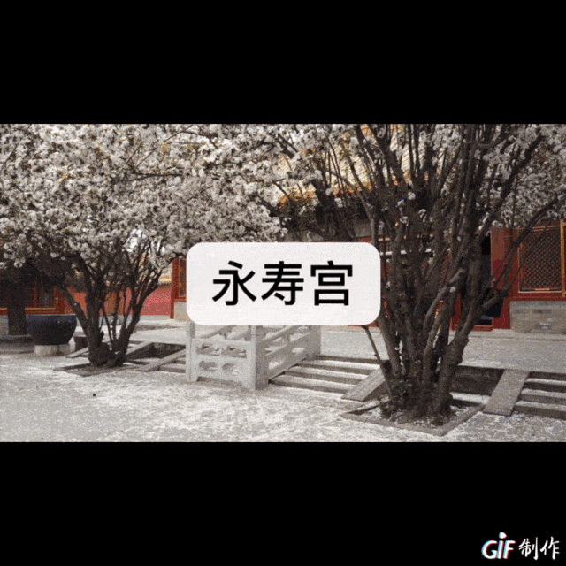 我们将是有史以来第一届能「在宫里过年」的普通人 | 唠氪儿