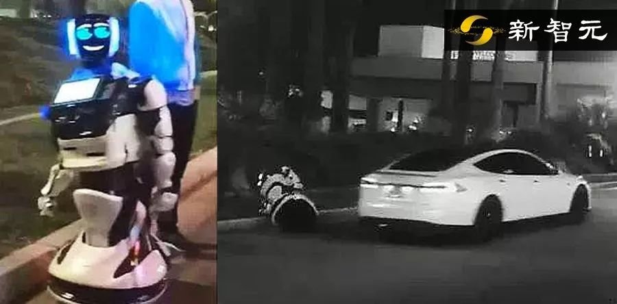 特斯拉撞死机器人！自动驾驶寒冬连辅助驾驶也要看衰