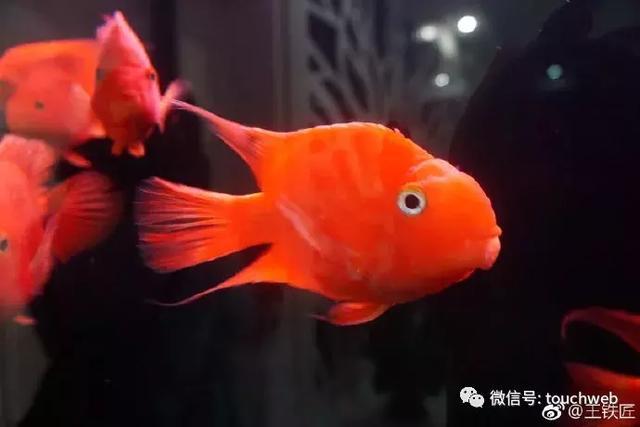 快播创始人王欣疑似要推社交产品 再晒新团队合照