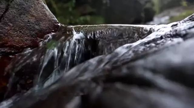 曾多次被安利的网红年糕，久煮不糊，Q弹不粘黏，年味必备｜最生活