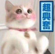 这一次，真的被纯素颜的杨超越丑哭了…
