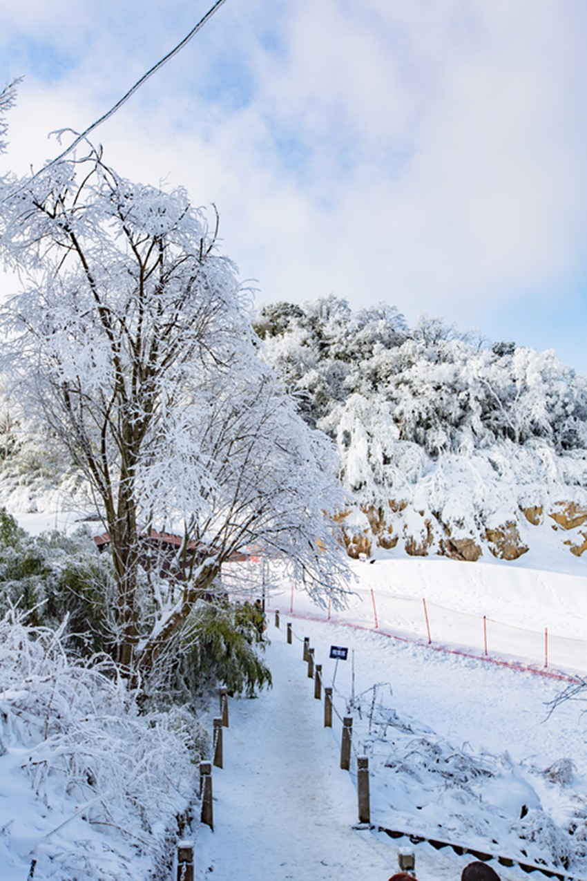 冬季到九皇山,雪景照这样拍,让你美十倍!