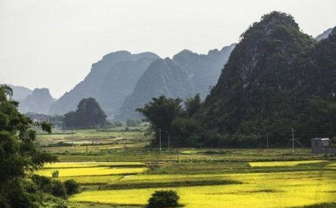 罗定文化旅游(景区,景点大全)