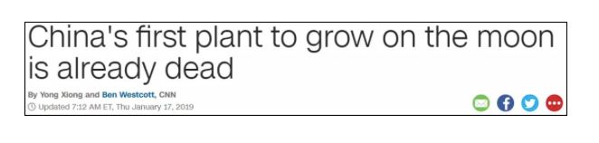 月球上第一株植物死亡悬疑
