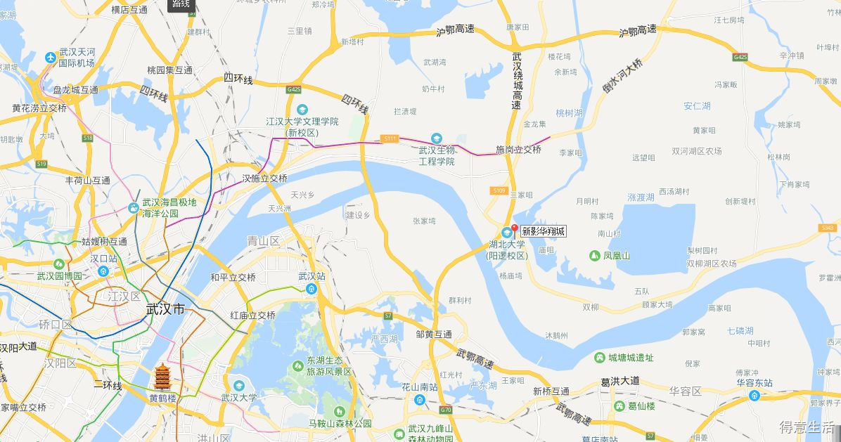 谁说新洲没有地标?新影华中影视基地正在建设中,看小编实探