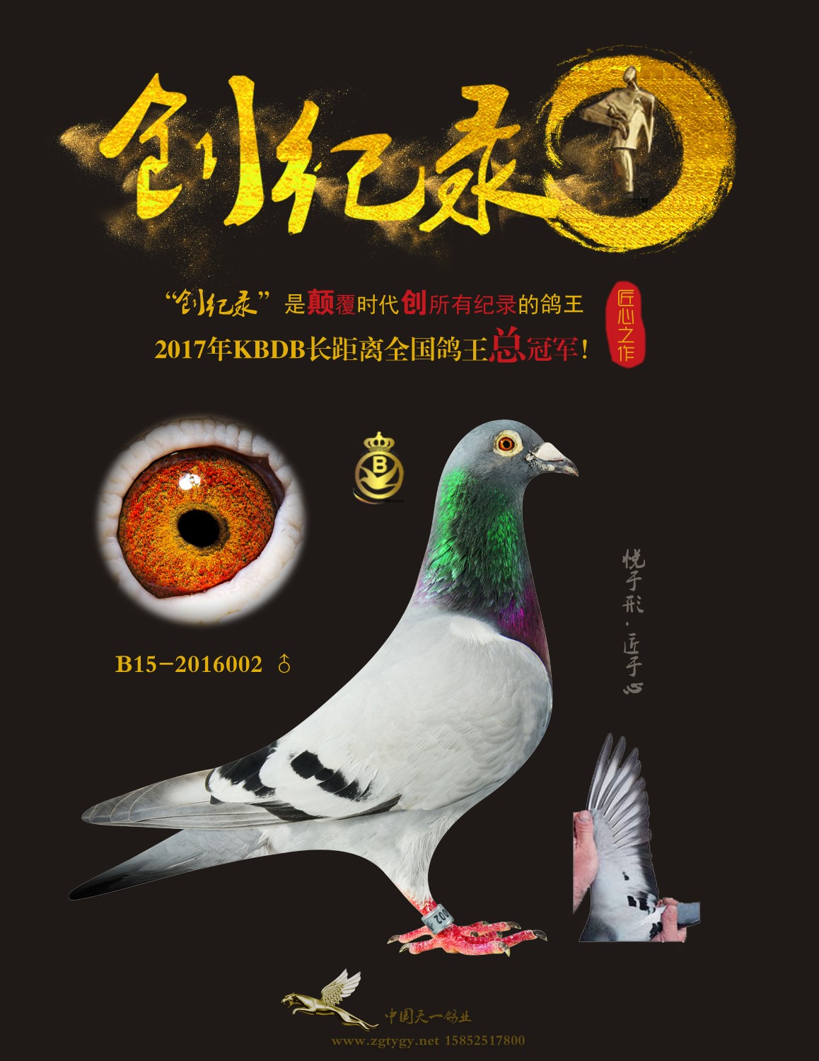 2017年比利时KBDB全国长距离鸽王总冠军.jpg