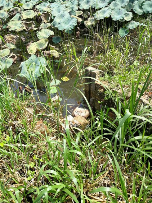 罗定市上宁村格木桥村梁氏始祖及发源地