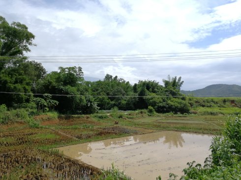 罗定市上宁村格木桥村梁氏始祖及发源地
