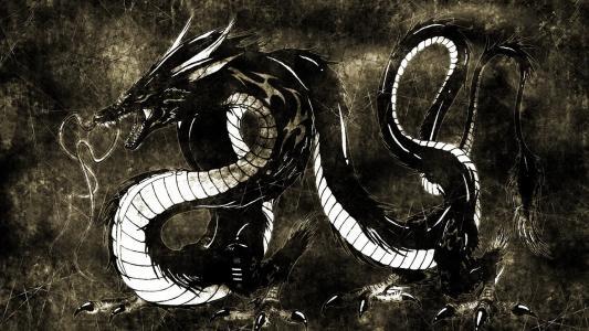 奇闻异志:龙真是四维生物吗?早在古籍中便有记载