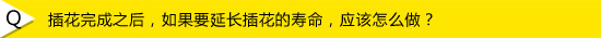 花艺师答疑