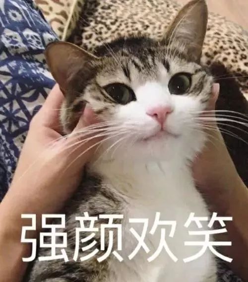 「流浪地球计划」如果真来了,你的专业能干点啥? | 唠氪儿