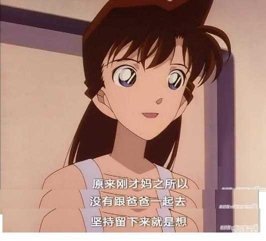 《名侦探柯南》:柯南他们偶然间碰到了小兰的妈妈妃律师