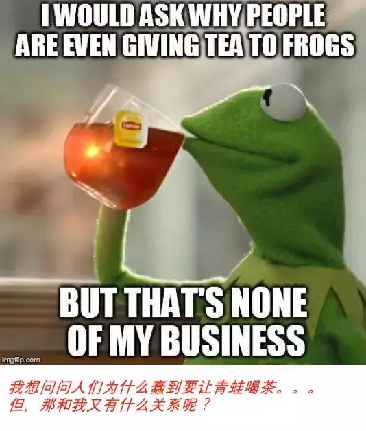 围观看戏，外国人八卦起来，比我们还厉害~