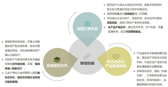 【重要】农村一二三产业融合模式到底说的啥?