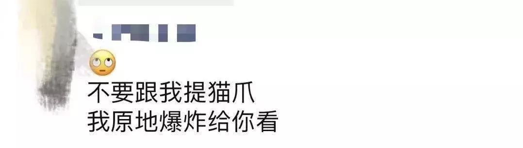 星巴克的“猫爪杯”，让我朋友圈炸开了锅……