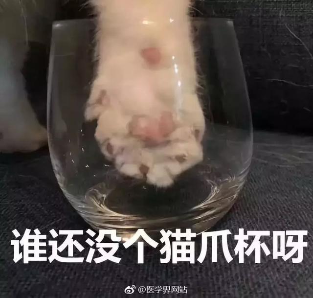 星巴克的“猫爪杯”，让我朋友圈炸开了锅……