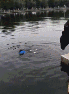 94048413903f44c485f9c8d898a5dbb0.gif
