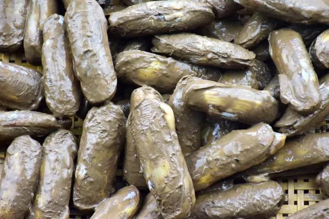 肥腴鲜甜,错过现在的蛏子,等于错过春天!