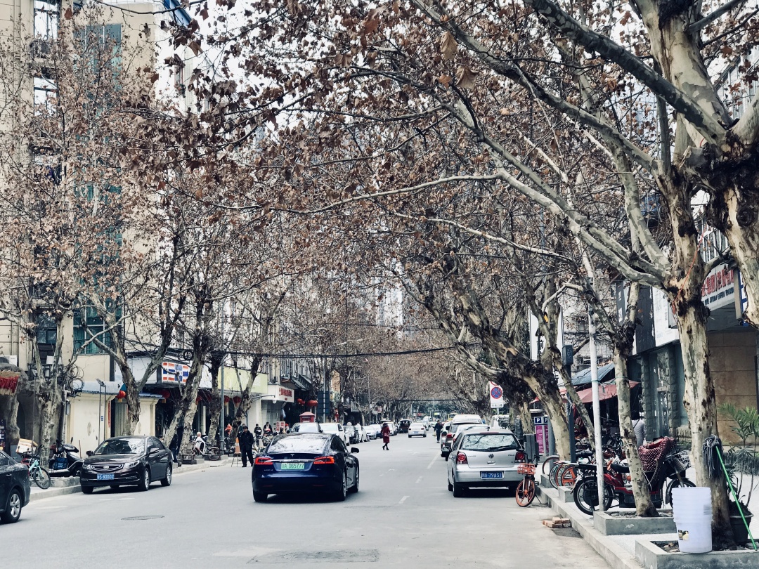 牛市口路42号，成都盲人按摩的灵魂在此