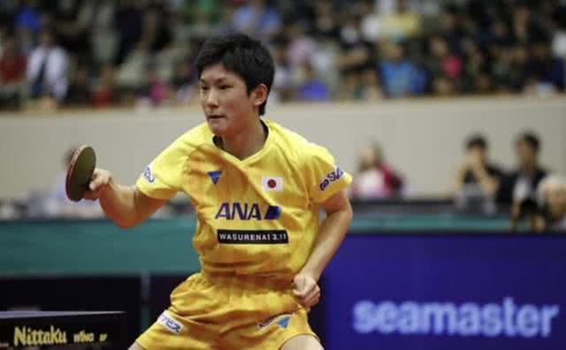4-0碾压张本智和!大爆发连夺三冠 大胖或成最大黑马