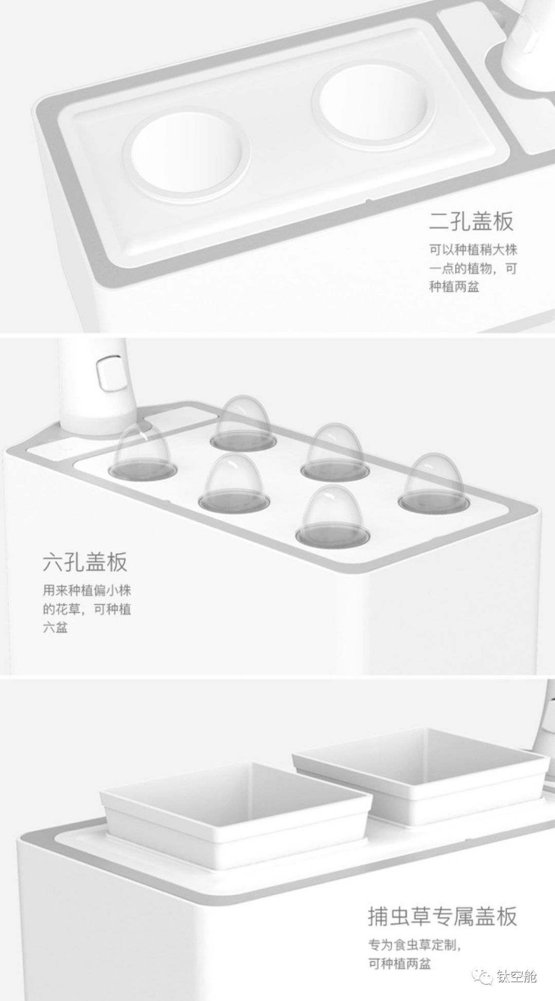 能当台灯，能养花，无土养殖智能养花机，开启养花新模式 | 钛空舱