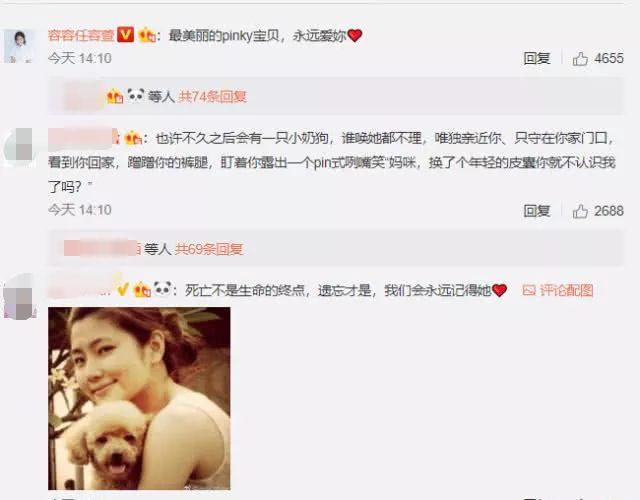Selina悲痛吻别15岁爱犬，曾因它与前夫不和成离婚导火索