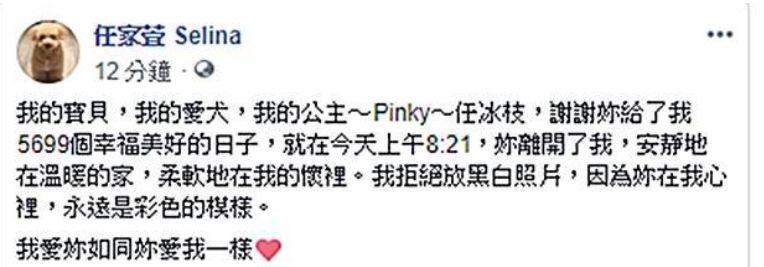 Selina悲痛吻别15岁爱犬，曾因它与前夫不和成离婚导火索