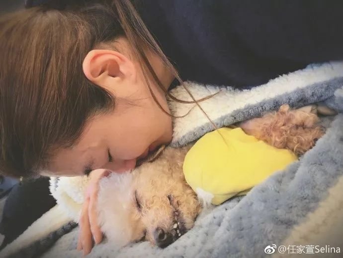 Selina悲痛吻别15岁爱犬，曾因它与前夫不和成离婚导火索