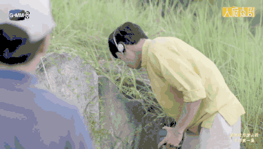 亚洲狗血哪家强：还有什么是泰国编剧不敢写的？