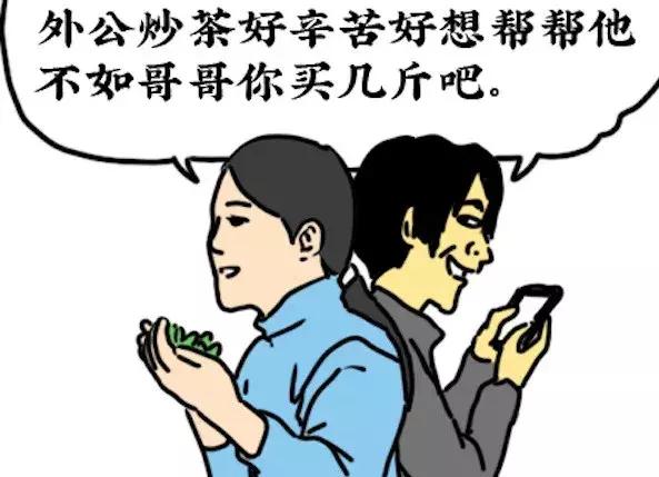 春天到了,朋友圈里的卖茶女又开始采茶了