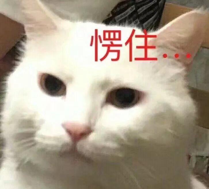 终于找到刘亦菲鼻子如此完美的秘密！鼻炎脸才是毁容于无形啊！