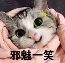 终于找到刘亦菲鼻子如此完美的秘密！鼻炎脸才是毁容于无形啊！