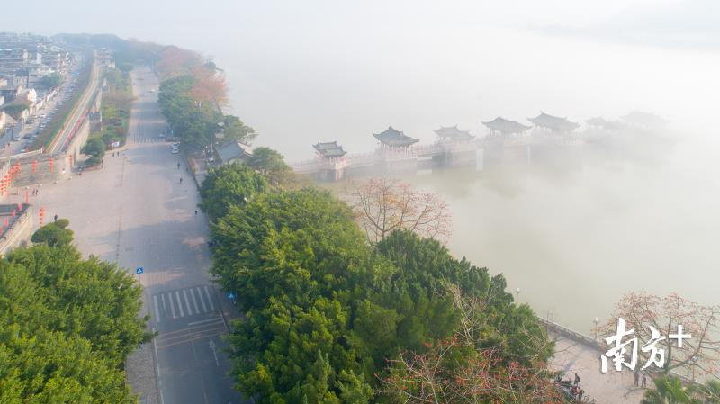今天早上,潮州市部分地区出现能见度小于500米的大雾天气.