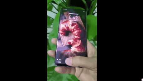 华为P30 Pro真机上手视频曝光：屏幕指纹秒开