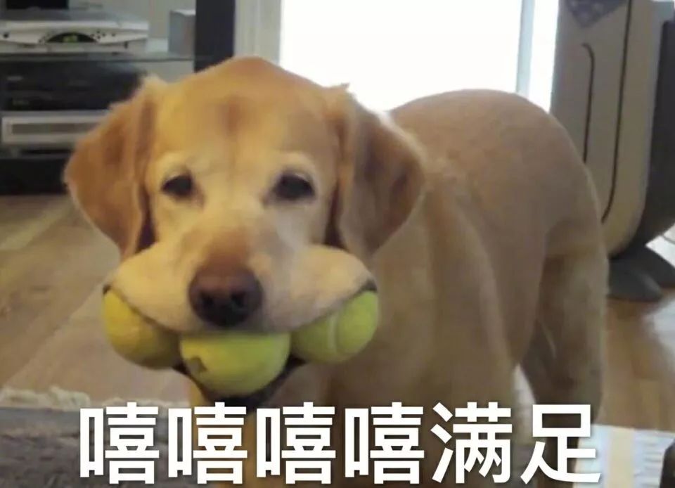 在成都的春天里站了一会儿，好像去了趟京都
