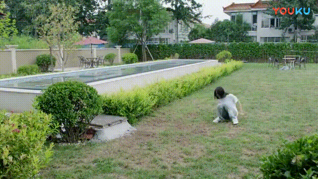 认真讨论一下郑爽炸裂的演技