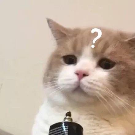 张雨绮鼻子歪到天边的视频都敢往外发！团队是集体造反了？