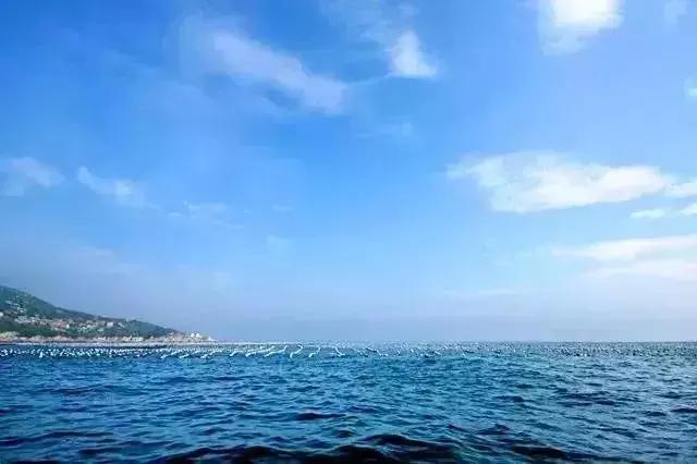 打个“飞的”来舟山!这条航线开通后,美了市民,乐了游客!