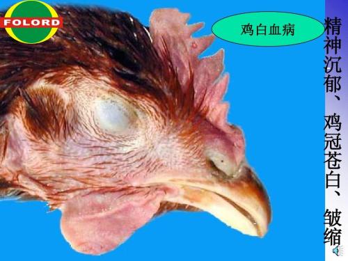 a11195e7b2a64784b256d0ac9d0a7bb9.jpg a11195e7b2a64784b256d0ac9d0a7bb9.jpg