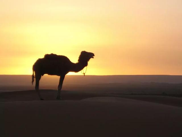 不输三毛的撒哈拉，去国内的这些神秘沙漠，感受驼铃下的黄昏
