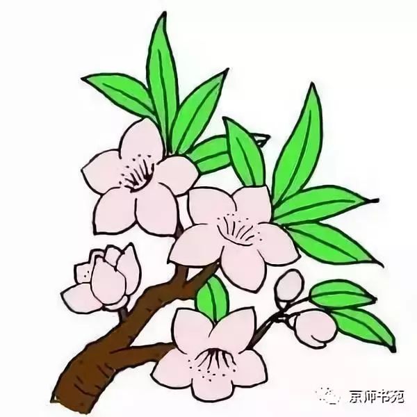 桃花的画法