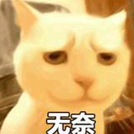 妙手巧主妇都是怎么清洗浴室脚垫的?答:不洗|记1块神奇脚垫