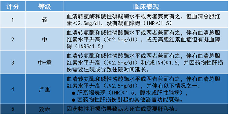 肝损伤分级