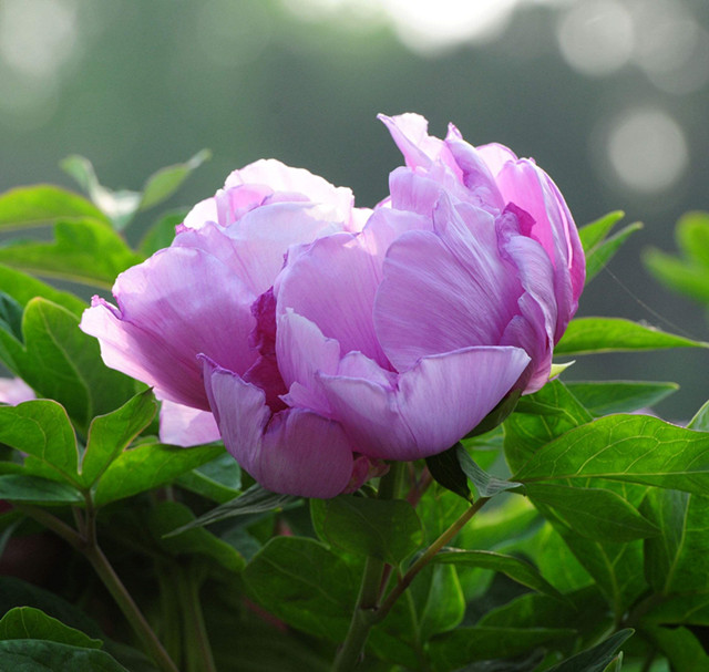 6d64bd3f8c5647d6bbd32326eec5df59.jpg 6d64bd3f8c5647d6bbd32326eec5df59.jpg