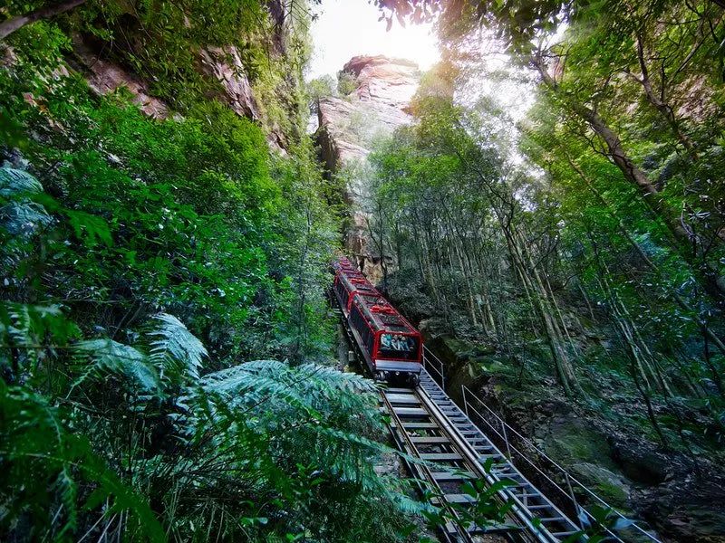 旅客还能进入蓝山美景世界坐索道车和登山小火车哦~(登山小火车坡度